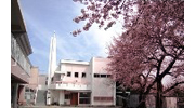 教会の庭の桜が満開です。